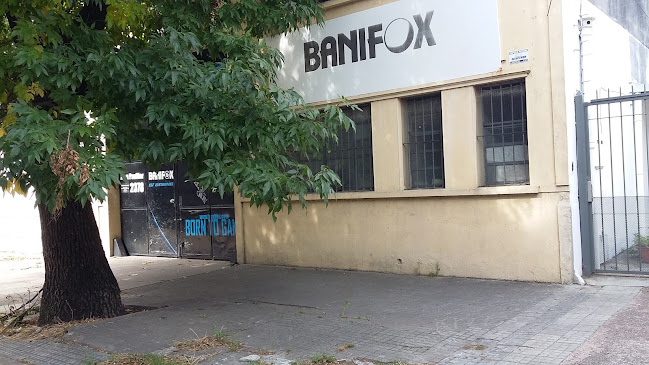 Banifox S.A.