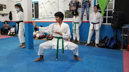 Organización Maya Karate Do - Emiliano Zapata, 77620 San Miguel de Cozumel, Quintana Roo, Mexico