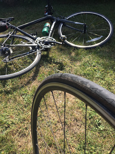 Bicycle Store «Serious Cycles», reviews and photos, 265 State Rd, Plymouth, MA 02360, USA