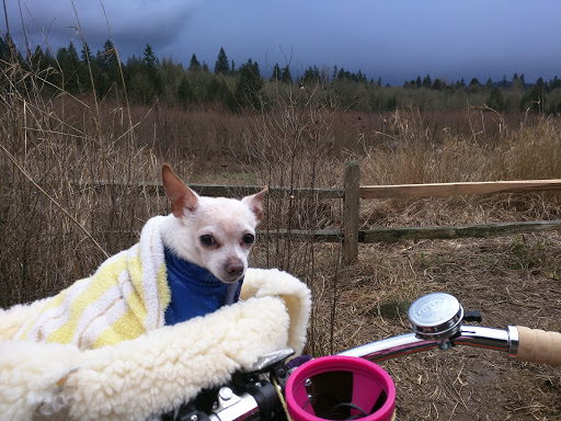 Park «Powell Butte Nature Park», reviews and photos, 16160 SE Powell Blvd, Portland, OR 97236, USA