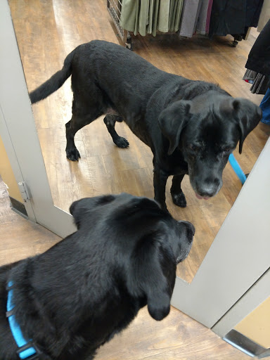 Home Improvement Store «Tractor Supply Co.», reviews and photos, 540 Water St #100, Chardon, OH 44024, USA