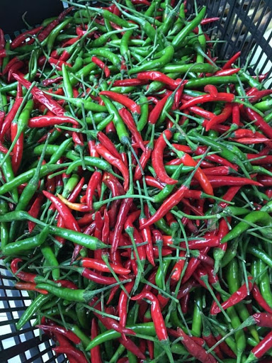 Asian Grocery Store «New Battambang Market», reviews and photos, 366 Elmwood Ave, Providence, RI 02907, USA