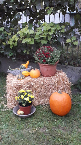 Linda Vendégház - Szálloda