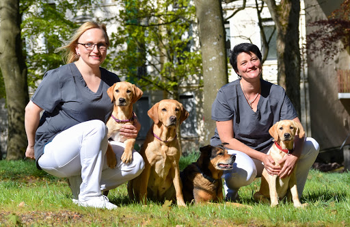 Tierarztpraxis am Loh Dr. Herrgen & Ehringhaus unter Lüdenscheid, 