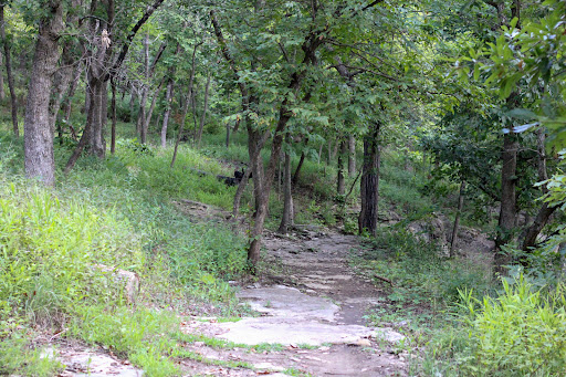 Swope Park Trails – Wudchuk Run Trail Head