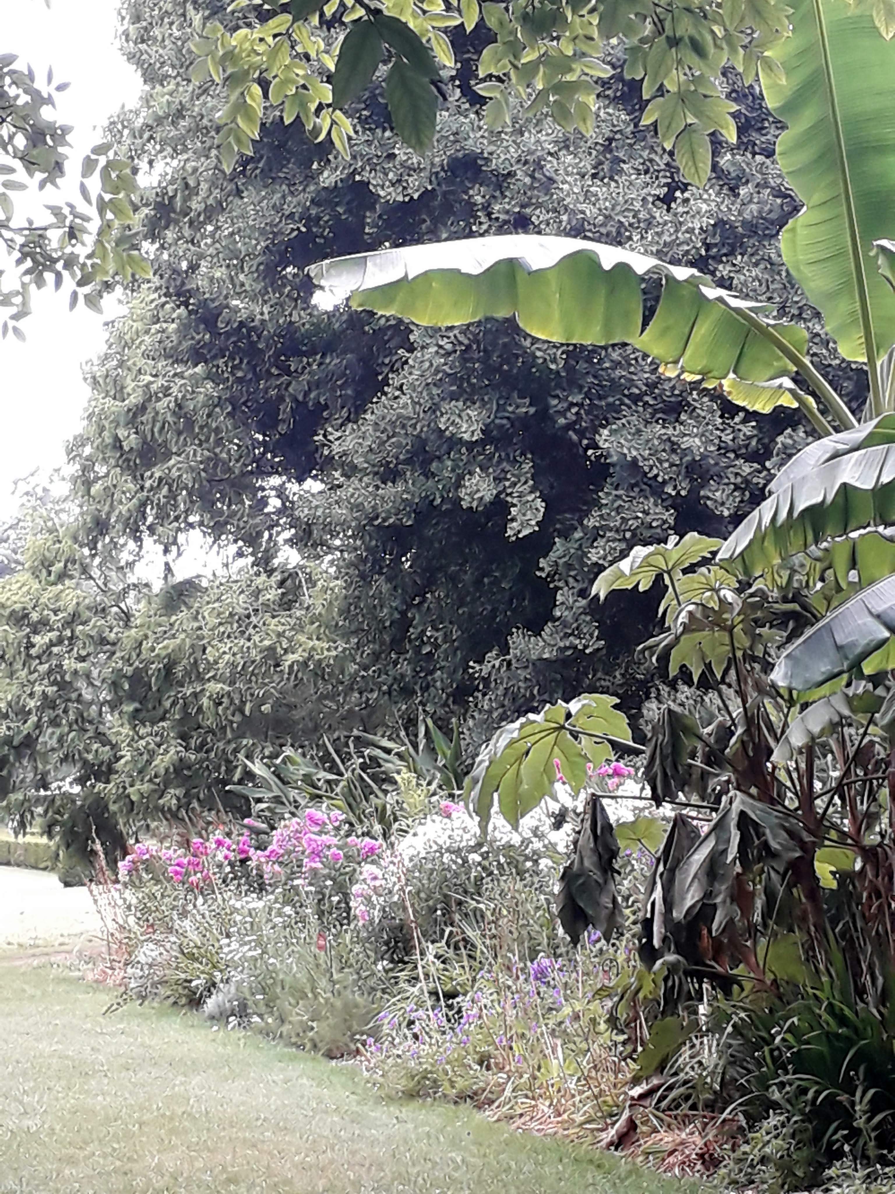 Photo n° 23 de l'avis de Le.o fait le 22/07/2022 à 15:09