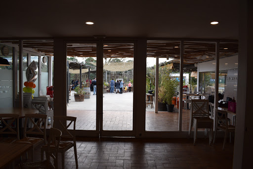 Restaurante Socarrat