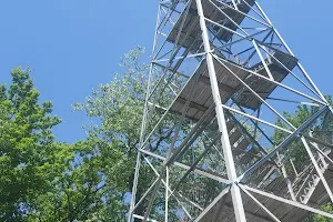 Kane Mountain Fire Tower image