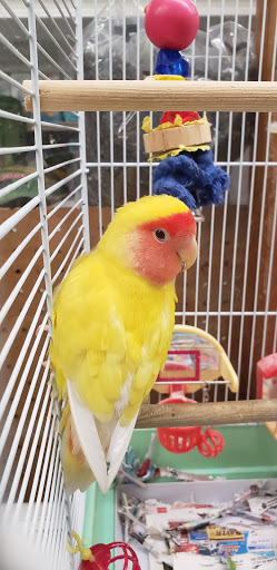 Tropical Fish Store «Midway Tropical Fish & Pets», reviews and photos, 24101 Pacific Hwy S, Kent, WA 98032, USA