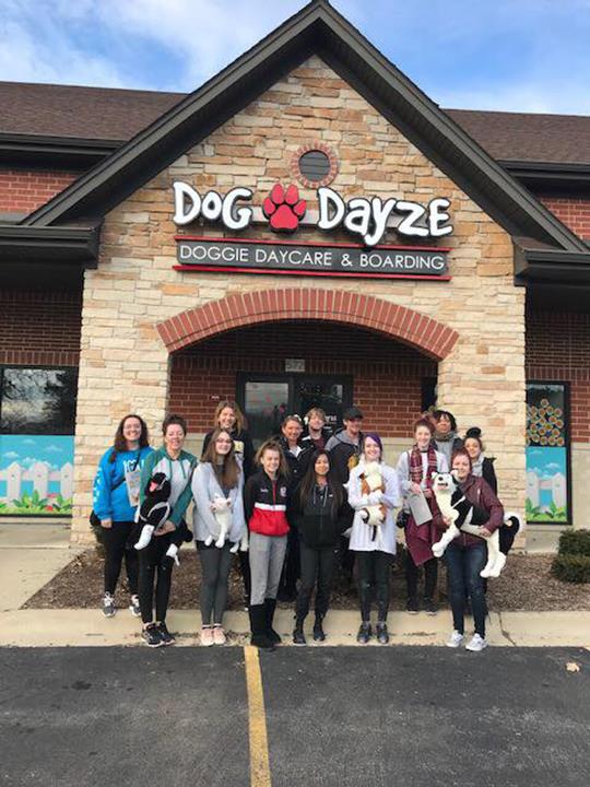 Dog Dayze- Doggie Daycare & Boarding