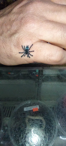 Pet Store «CUSTOM CREATURES PET SHOP», reviews and photos, 10727 N 19th Ave, Phoenix, AZ 85029, USA