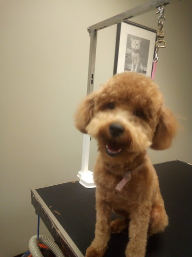 100 Lansdale Ave, Milford, CT 06460, USA