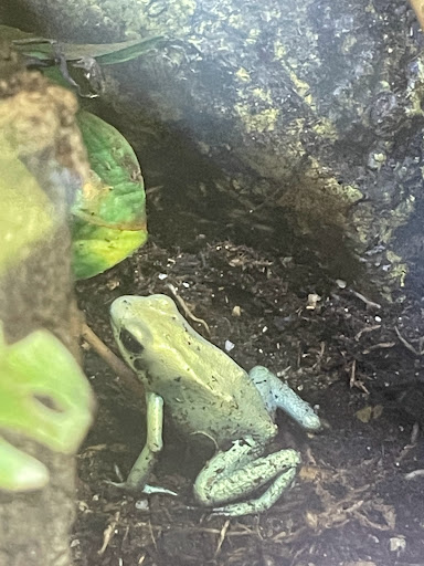 Pet Store «Birds & Beasts Pet Shop», reviews and photos, 35 Berkshire Dr # 18, Crystal Lake, IL 60014, USA