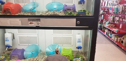 Pet Supply Store «Petco Animal Supplies», reviews and photos, 9078 SE Sunnyside Rd, Clackamas, OR 97015, USA