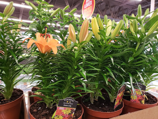 Supermarket «ALDI», reviews and photos, 4300 NW Federal Hwy, Jensen Beach, FL 34957, USA