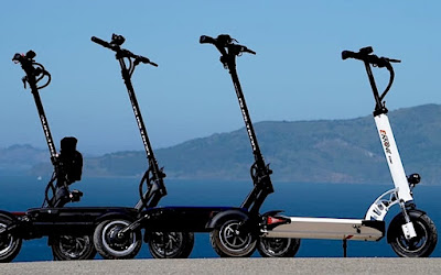 Trottcorse à Calvi