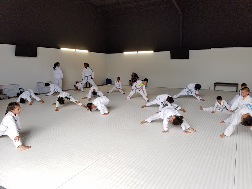 Taekwondo classes in Honolulu