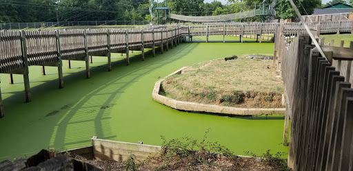 Zoo «Gators and Friends», reviews and photos, 11441 US-80, Greenwood, LA 71033, USA