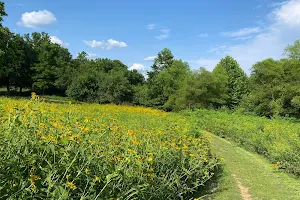 Natural Lands' Stroud Preserve image