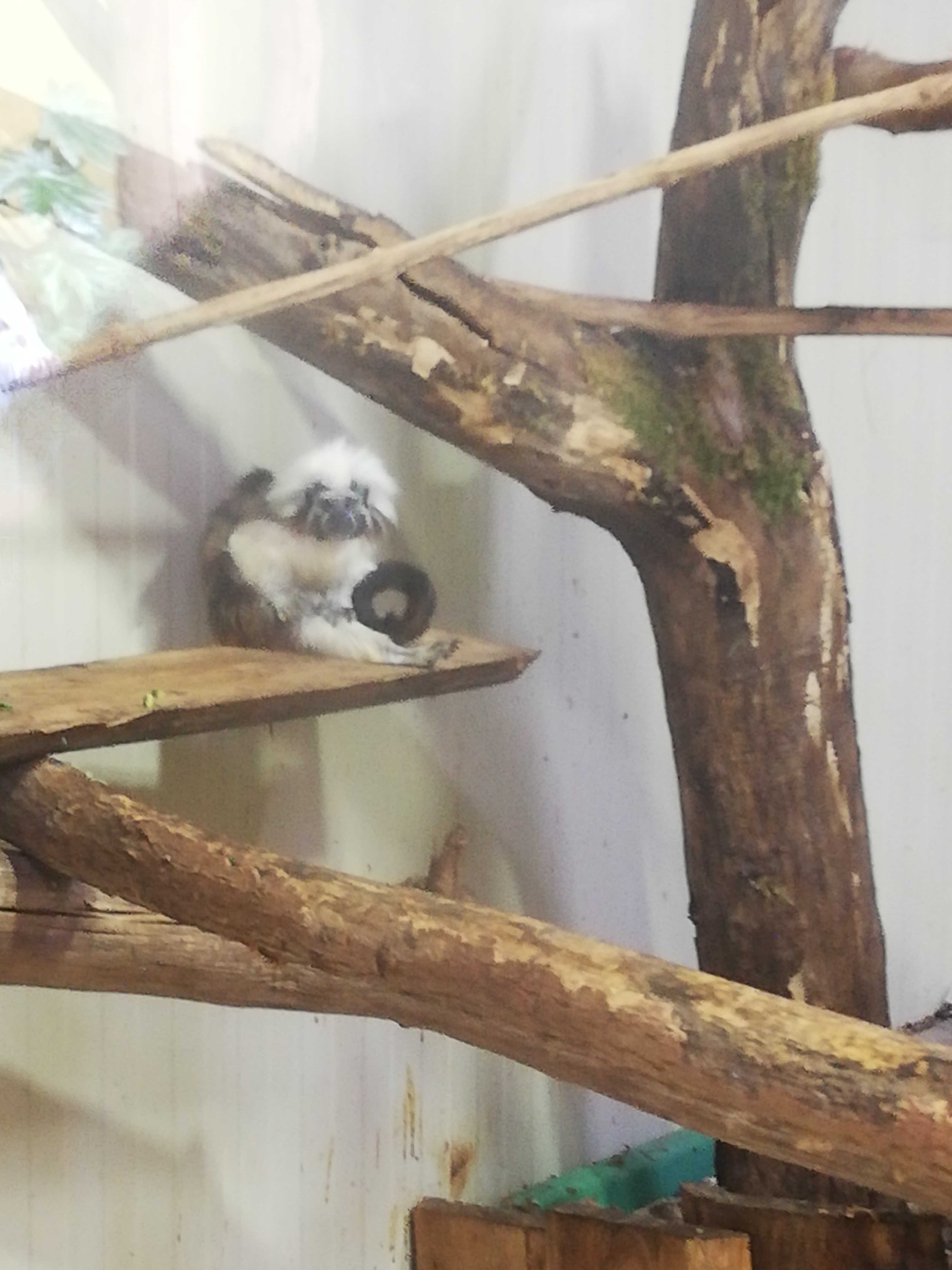 Photo n° 17 de l'avis de Soleil. fait le 20/08/2020 à 12:36