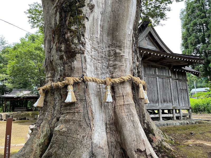 赤谷十二社の大ケヤキ