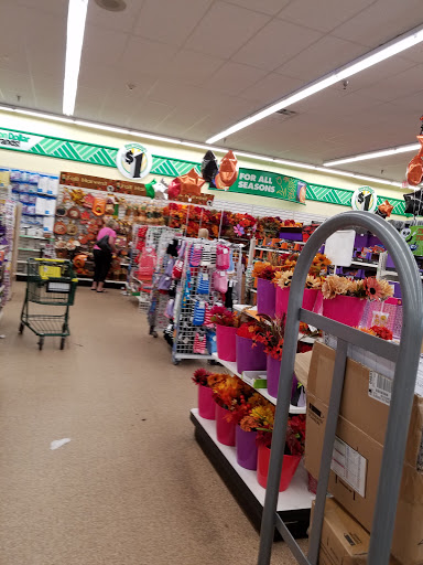 Dollar Store «Dollar Tree», reviews and photos, 250 Jericho Turnpike #80, Floral Park, NY 11001, USA