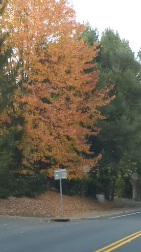 Golf Club «Woodstock Golf Club», reviews and photos, NY-212 & NY-375, Woodstock, NY 12498, USA