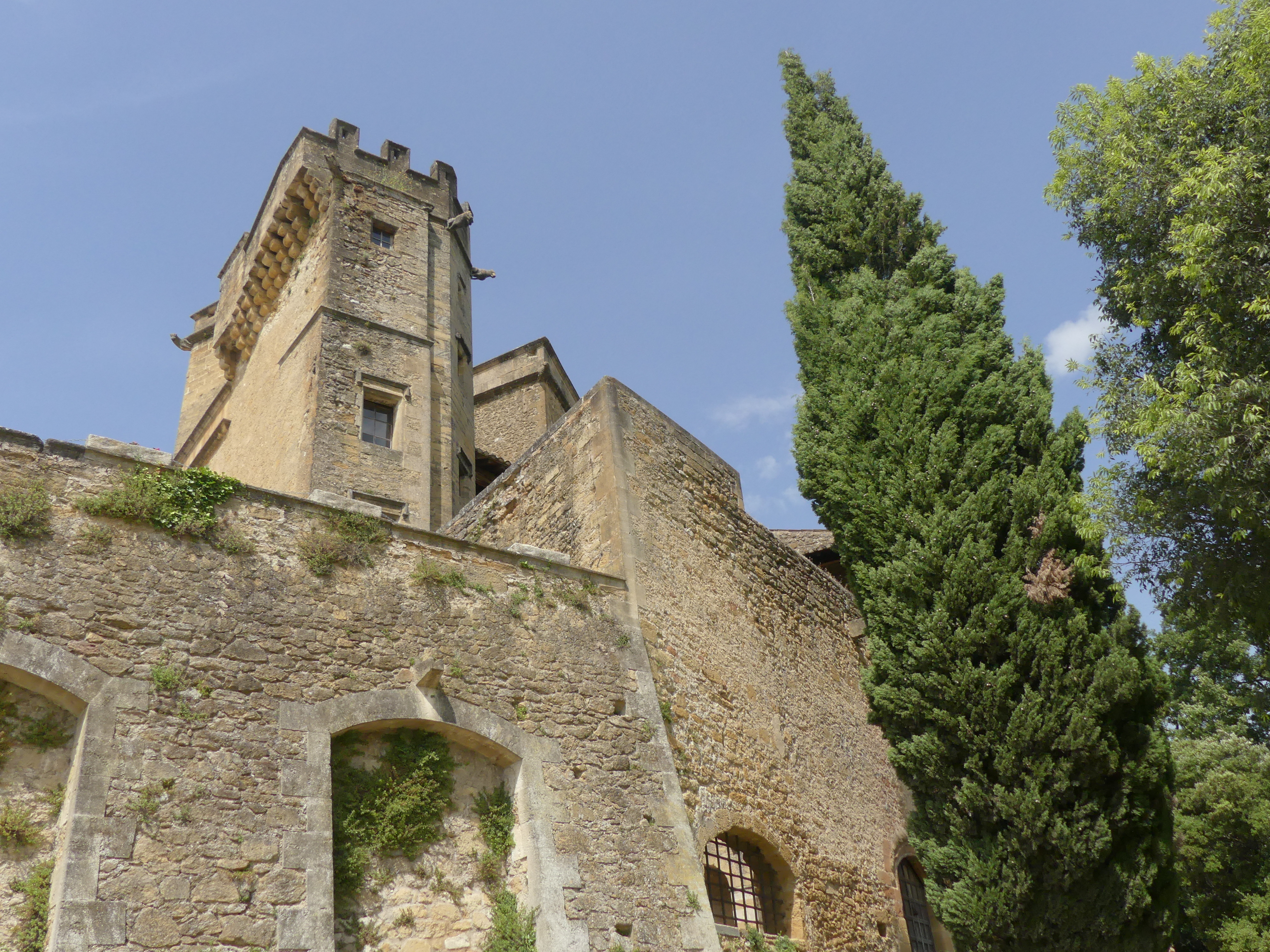 Photo n° 21 de l'avis de Patrick.a fait le 20/06/2021 à 17:10