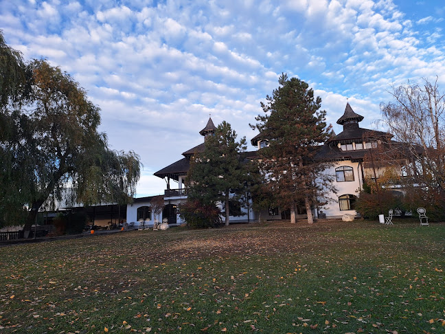 Mosia Zeletin - Poseștii Pământeni