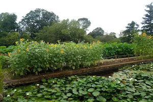 Hibiya Kadan Ofuna Flower Center Ofuna Botanical Gardens image