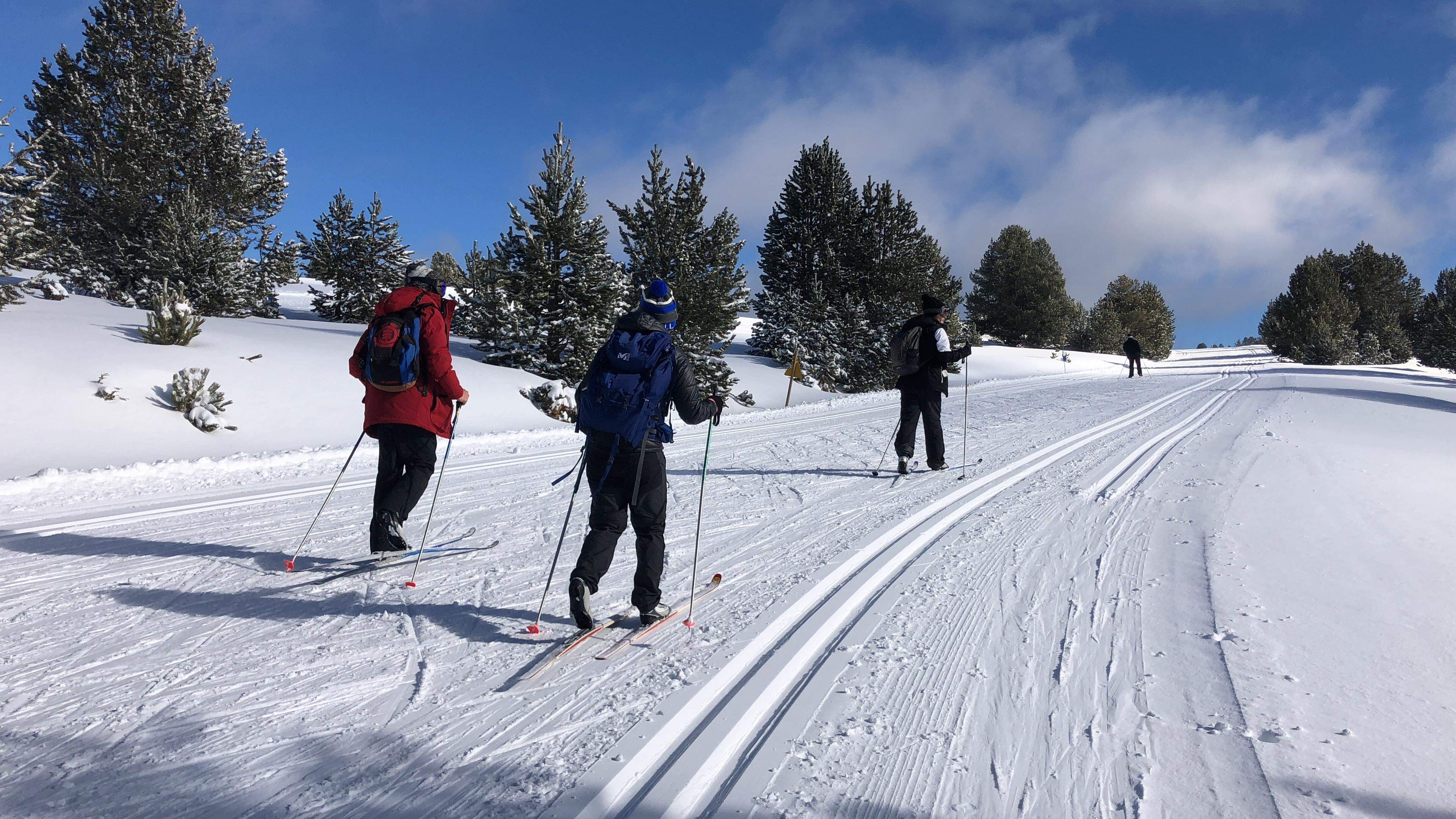 Photo n° 1 de l'avis de Matéo.a fait le 24/01/2021 à 15:35