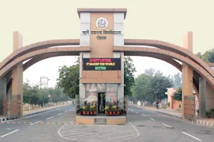 Maharshi Dayanand University image
