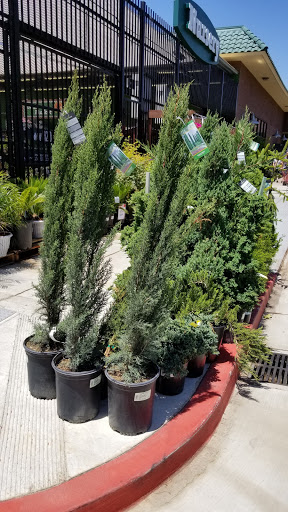 Hardware Store «Orchard Supply Hardware», reviews and photos, 300 Floresta Blvd, San Leandro, CA 94578, USA