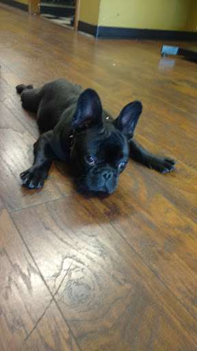 Tattoo Shop «Hard Luck Tattoo», reviews and photos, 1725 W Centinela Ave, Inglewood, CA 90302, USA