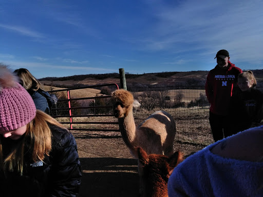 Boutique «Alpacas of the Heartland LLC», reviews and photos, 7016 County Rd 39, Fort Calhoun, NE 68023, USA