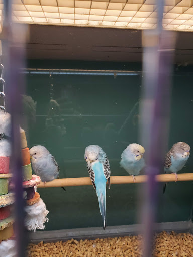 Pet Supply Store «Pet Supplies Plus», reviews and photos, 2155 Delaware Ave, Buffalo, NY 14216, USA