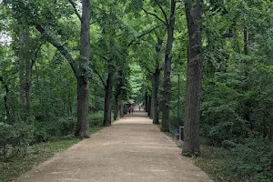 Dreienbrunnen Park image