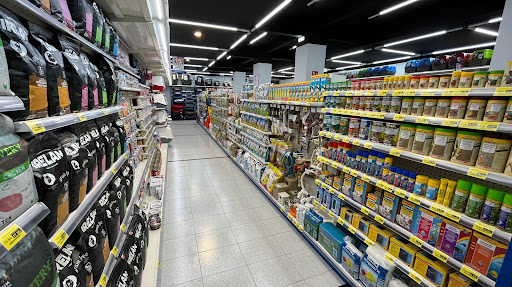 Euskalmushing - Errenteria