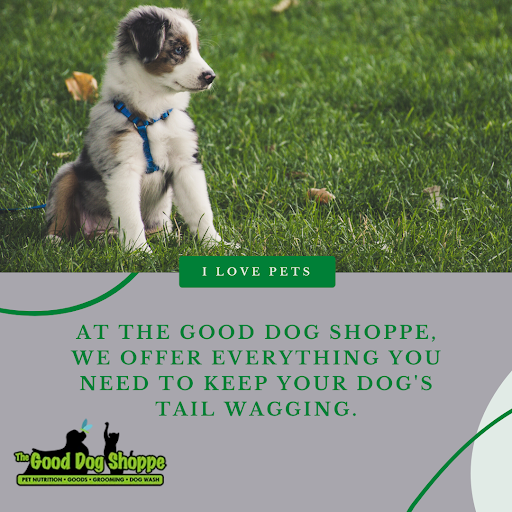 Pet Supply Store «The Good Dog Shoppe Kennesaw/The Good Dog Co.Atl», reviews and photos, 4200 Wade Green Rd NW #5, Kennesaw, GA 30144, USA