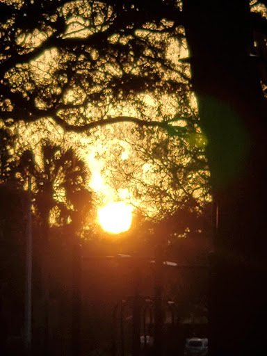 Recreation Center «Jackson Springs Recreation Center», reviews and photos, 8620 Jackson Springs Rd, Tampa, FL 33615, USA