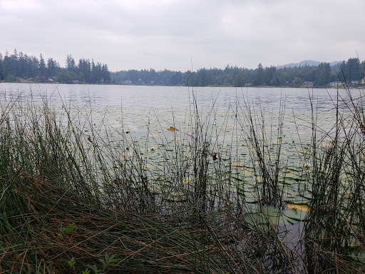 Park «Wildcat Lake County Park», reviews and photos, 9205 NW Holly Rd, Bremerton, WA 98312, USA