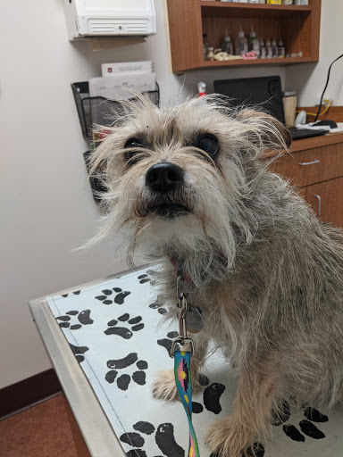 White's Pet Hospital