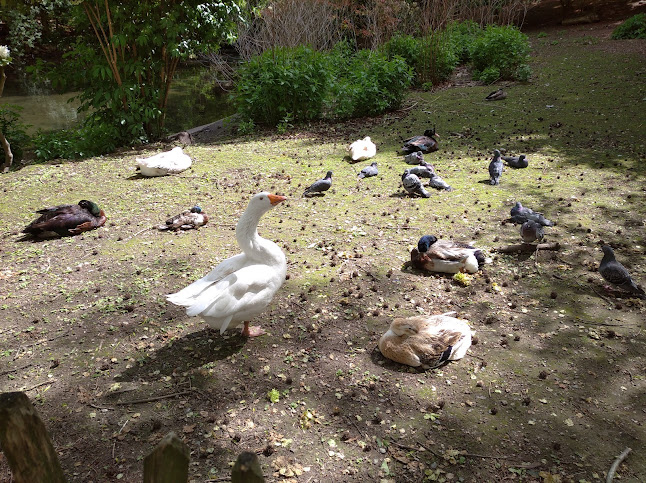 Beoordelingen van Pieter Paulus park in Brussel - Kampeerterrein