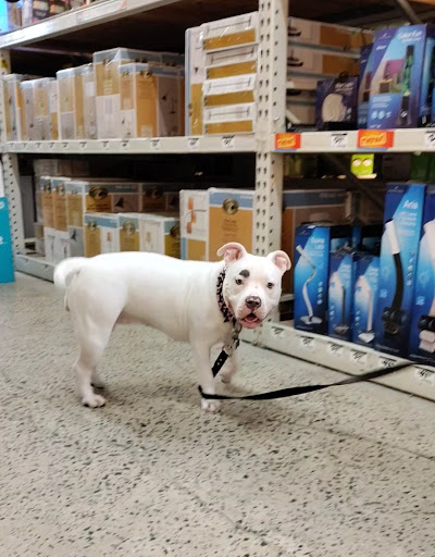 Home Improvement Store «The Home Depot», reviews and photos, 310 N White Horse Pike #1, Lawnside, NJ 08045, USA