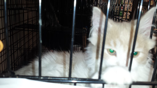 Pet Supply Store «Pet Supplies Plus», reviews and photos, 3984 Seneca St, West Seneca, NY 14224, USA