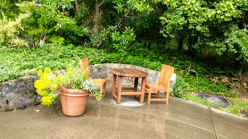 National Forest «Petrified Forest», reviews and photos