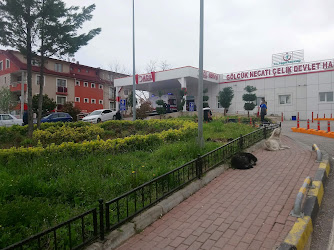 Gölcük Necati Çelik Devlet Hastanesi
