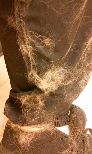 Pet Supply Store «PetSmart», reviews and photos, 3425 Amelia Dr, Orchard Park, NY 14127, USA