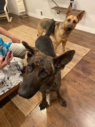 Pet Supply Store «The Animal Park Marketplace», reviews and photos, 744 W Riverdale Rd, Riverdale, UT 84405, USA