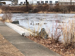 Cass Park - photo 99